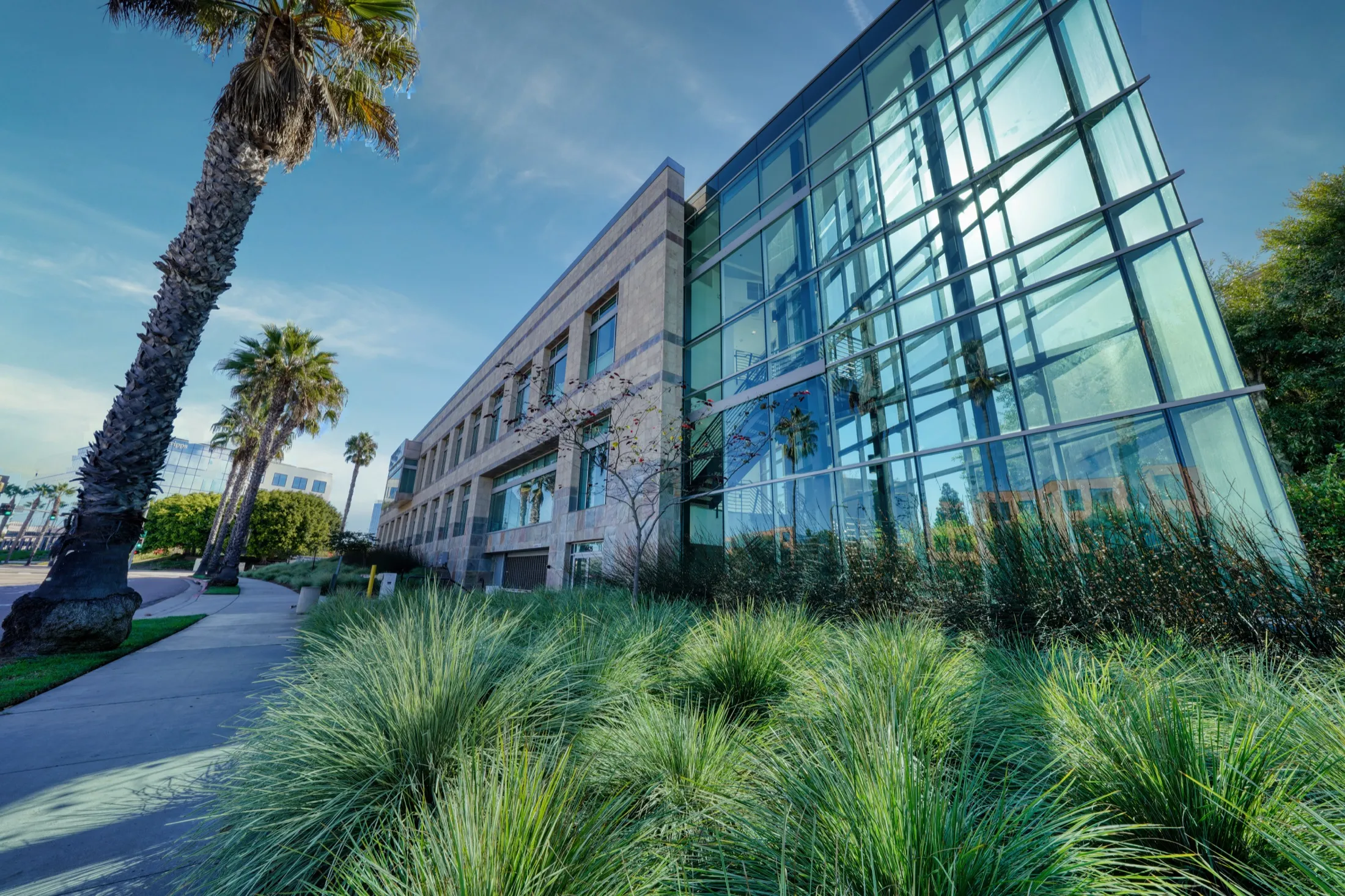 Glass curtain wall at the corner of 4475 Executive Drive, San Diego, behind palms and grasses