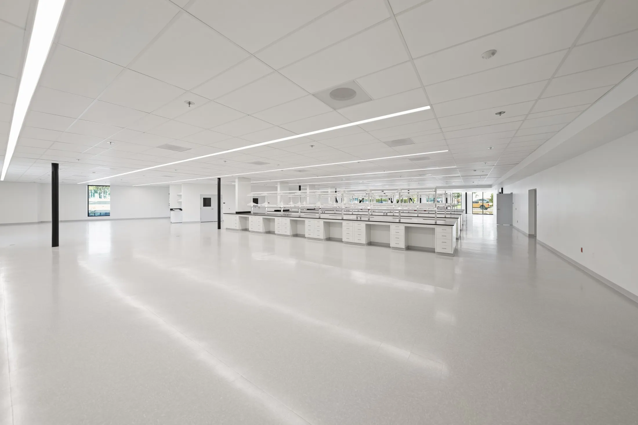 Ground-floor spec lab with benching and fume hoods