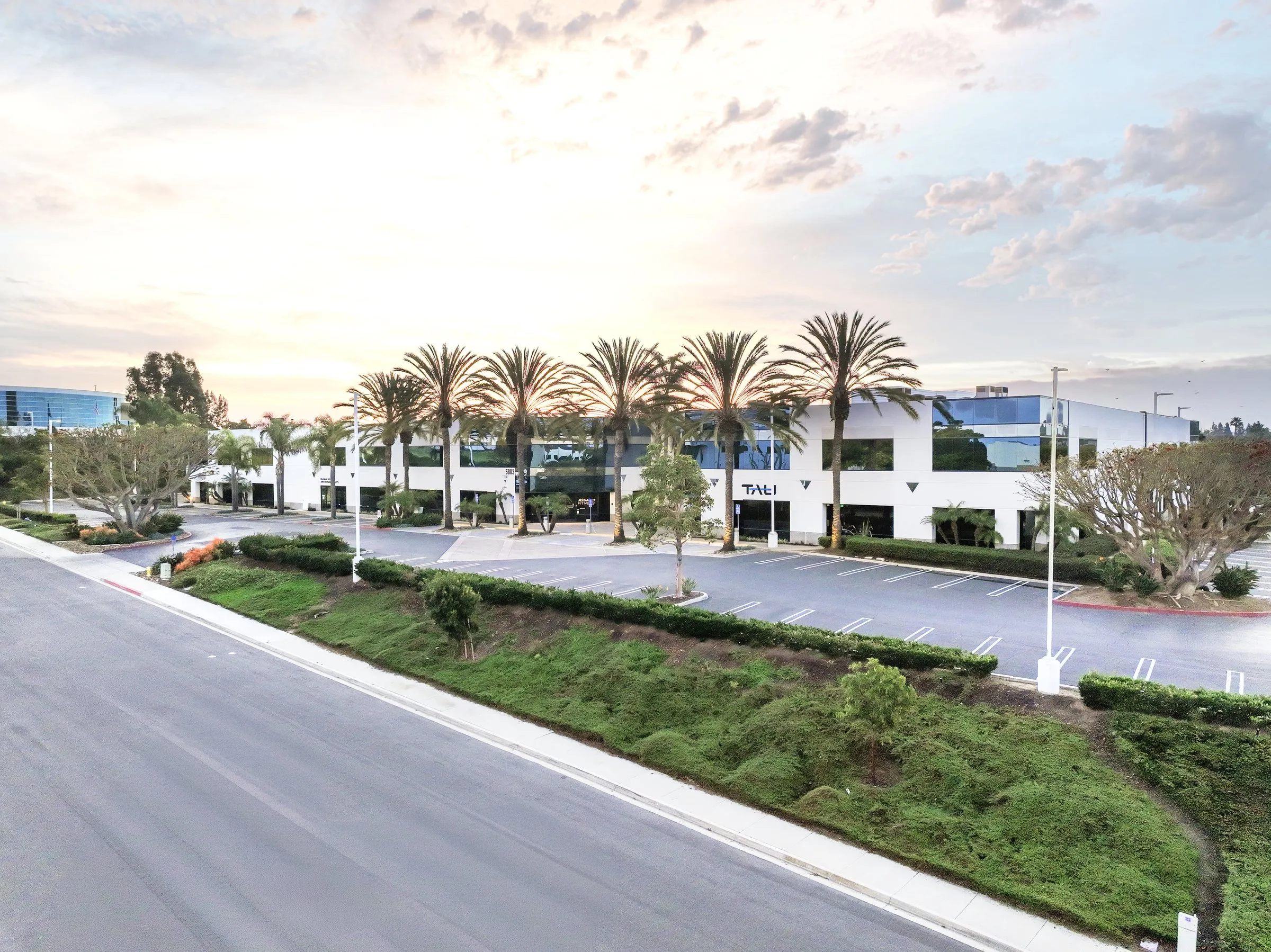 Newton Corporate Center in Carlsbad at sunset, the palms along its drive