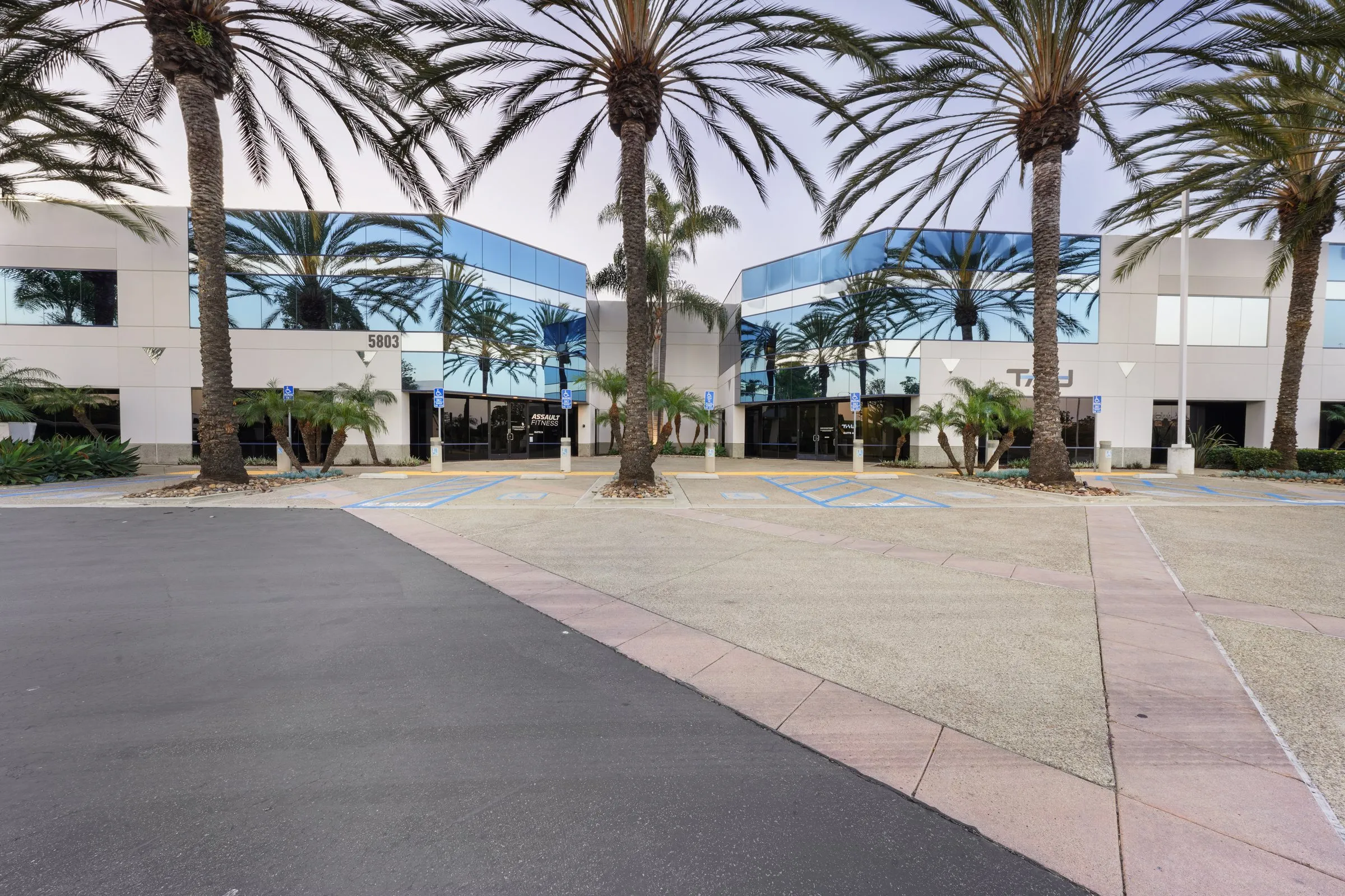 The entry court of Newton Corporate Center under its palms